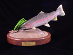 Rainbow Trout 2