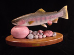 Rainbow Trout